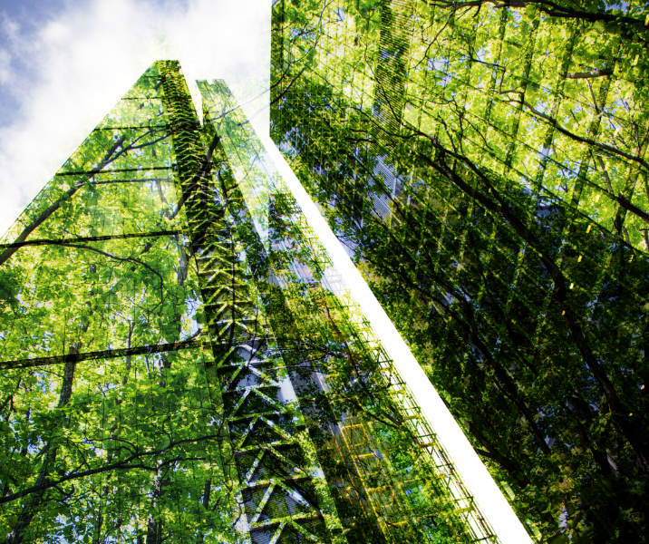 eco-friendly building in the modern city green tree branches with leaves and sustainable glass